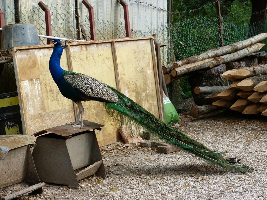 Villa Società Agricola F.lli Angelucci à Cannara Extérieur photo